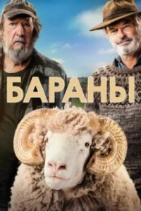  Бараны 