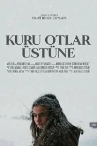  О сухой траве 